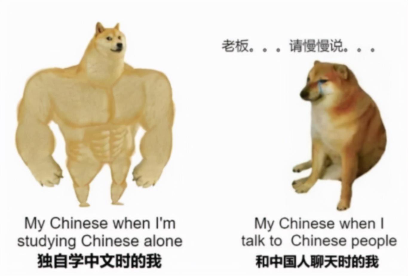 學中文 Buff Doge vs Crying Cheems.jpg