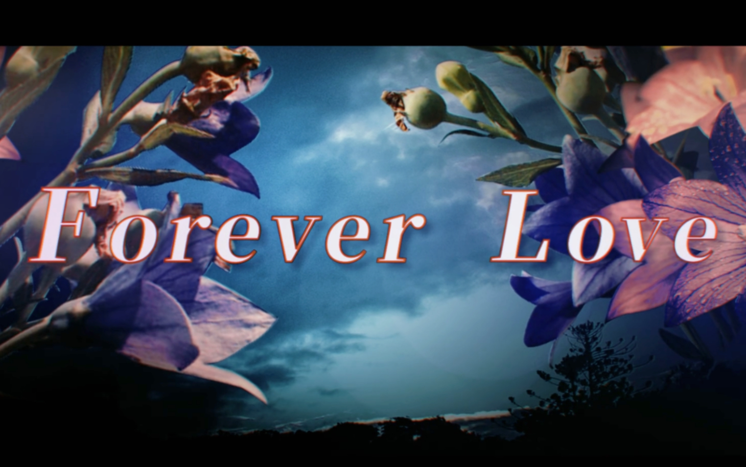 Forever Love(桔梗)-涼宮雨.jpg