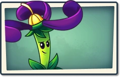 Nightshade Newer Seed Packet.png