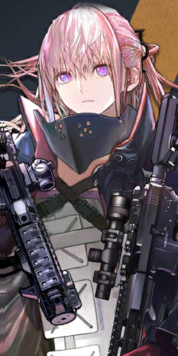 File:Pic AR15Mod N.png