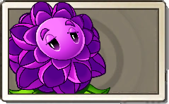 Stallia Common Seed Packet.png