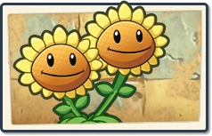 Twin Sunflower Newer Seed Packet.png