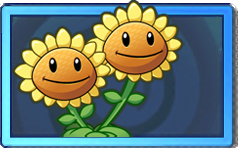 Twin Sunflower Rare Seed Packet.png
