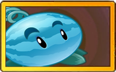 Winter Melon Legendary Seed Packet.png