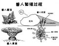 2023年3月15日 (三) 11:19版本的缩略图