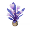 原神星槿·紫錦.png