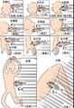 2021年11月2日 (二) 19:04版本的缩略图