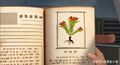 赵琳的日记本，里面有各种知识，包括草药