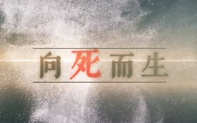 向死而生(洛天依).png