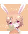 超可爱兔兔 胡萝卜发夹/兔耳/睡衣/胡萝卜抱枕。[3]