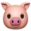 猪猪猪头emoji.png