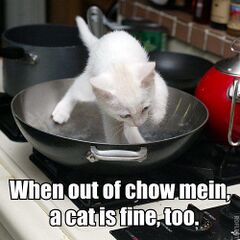 沒有炒麵時，貓也可以