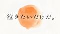 2023年5月20日 (六) 17:36版本的缩略图