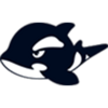 网鱼logo.png