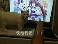 於 2020年7月7日 (二) 21:03 版本的縮圖