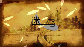 迷鳥.png