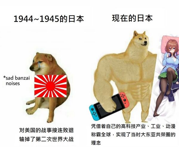 逆buff doge.JPG