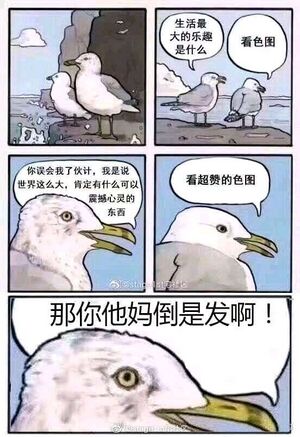 那你他妈倒是发啊.jpg