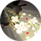 阴阳师手游绘世花鸟卷繁花坠露.png