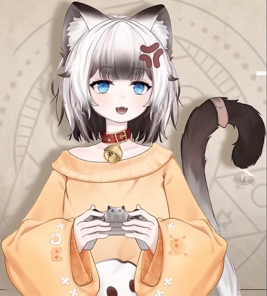 File:阿猫 Shamu上半身.png