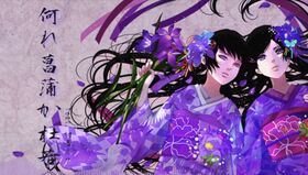 Ayame or kakitsubata.jpeg