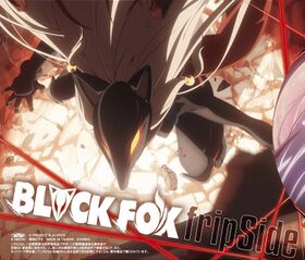 BLACKFOX 主题歌特典CD.jpg