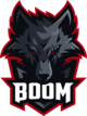 Boom Esports new.png