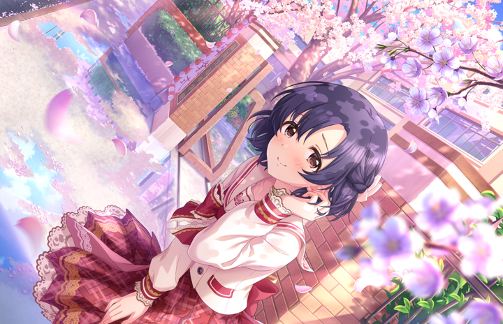 CGSS-SHIRAGIKU-HOTARU-SSR-2023+.PNG