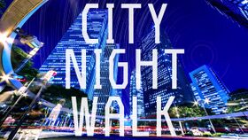 CITY NIGHT WALK.jpg
