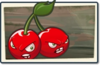 Cherry Bomb Newer Seed Packet.png
