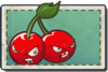 Cherry Bomb Seed Packet.png