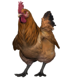 Chicken Brown 2021 CSGO.png