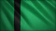 CivFlag-Delhi AoE4.png