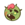 Cookie13Icon.png