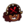 Cookie16Icon.png