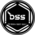 DSS.png