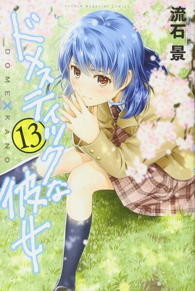 File:Domestic na Kanojo vol13.jpg