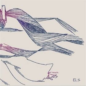 Evergreen Leland Studi0.JPG