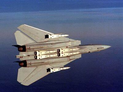 F-14 With Phoenix.jpg