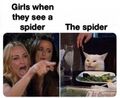 看到蜘蛛的女孩/蜘蛛