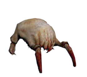 Head Crab.png