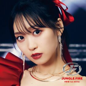 JUNGLE FIRE(CDBluray).jpg