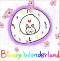 Binary Wonderland