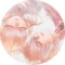 Lanota getready avt.png