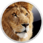 Mac OS X 10.7 Lion