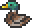 Mallard Duck.webp