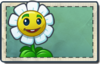 Marigold Seed Packet.png