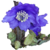 Meconopsis1.png