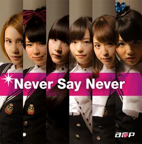 Never Say Never.jpg