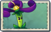 Nightshade Seed Packet.png